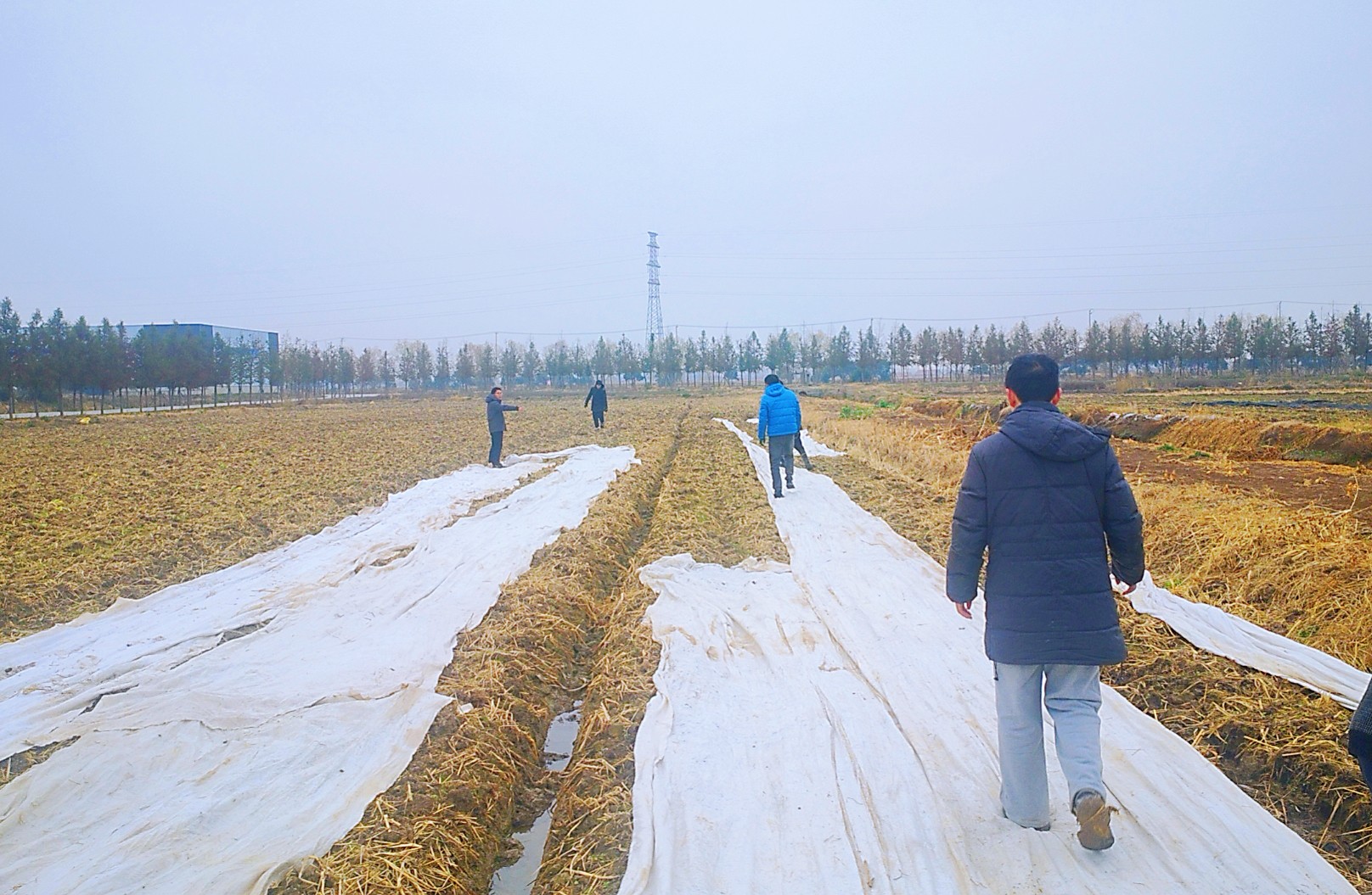 /gb2312/qishiyegonghui/15302.html
